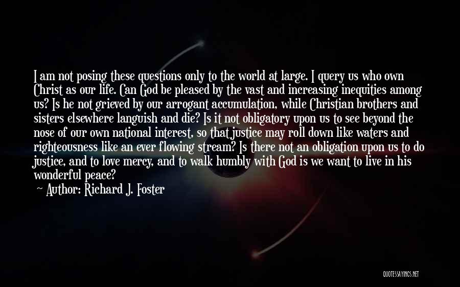 Richard J. Foster Quotes: I Am Not Posing These Questions Only To The World At Large. I Query Us Who Own Christ As Our