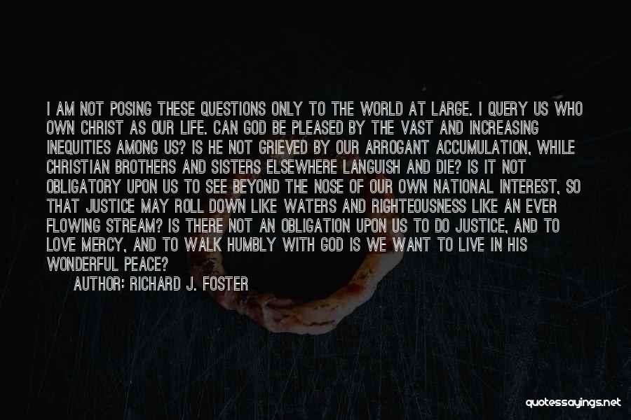 Richard J. Foster Quotes: I Am Not Posing These Questions Only To The World At Large. I Query Us Who Own Christ As Our