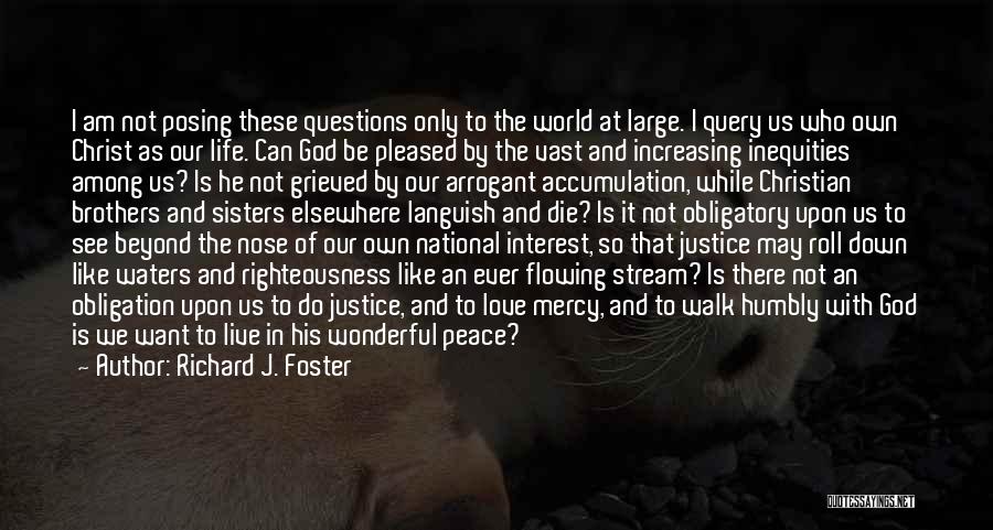 Richard J. Foster Quotes: I Am Not Posing These Questions Only To The World At Large. I Query Us Who Own Christ As Our