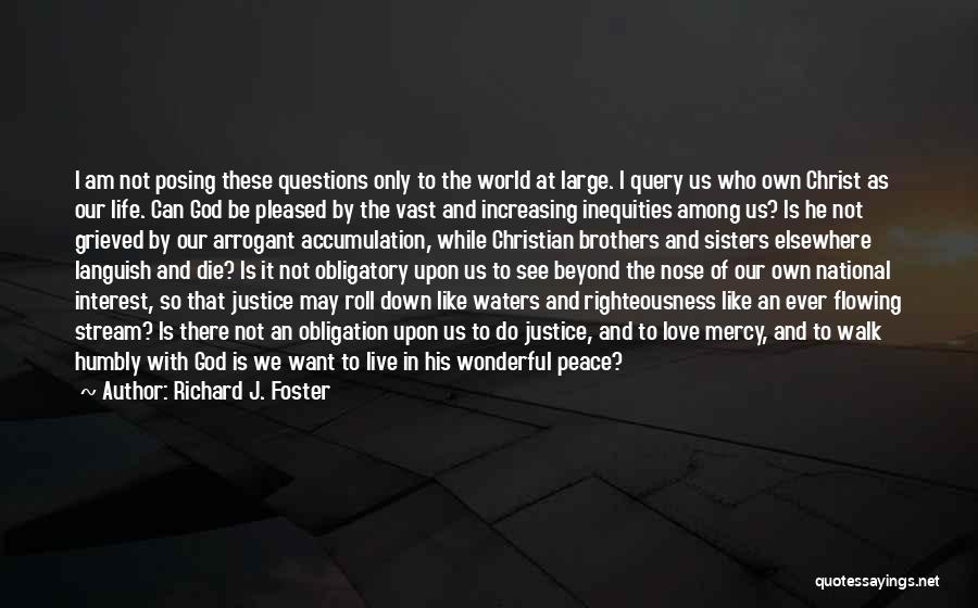 Richard J. Foster Quotes: I Am Not Posing These Questions Only To The World At Large. I Query Us Who Own Christ As Our