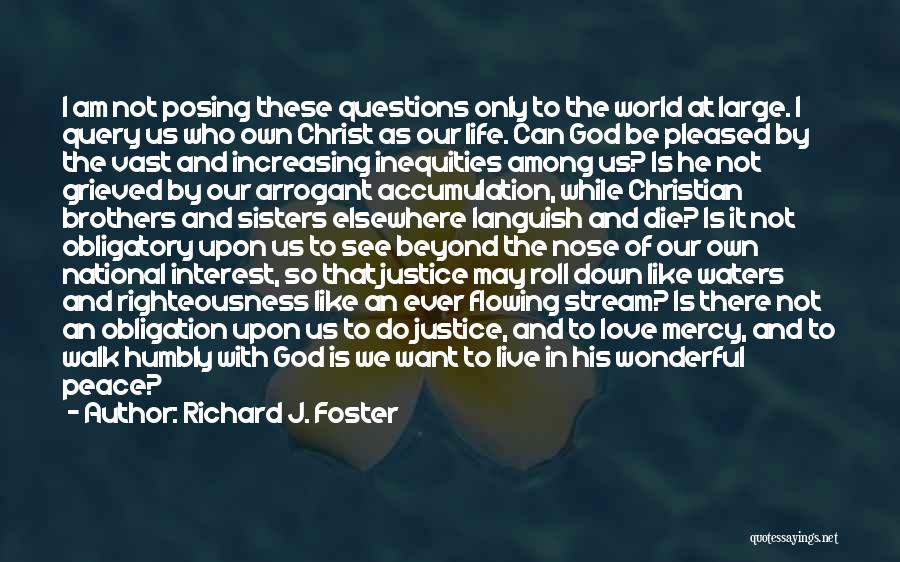 Richard J. Foster Quotes: I Am Not Posing These Questions Only To The World At Large. I Query Us Who Own Christ As Our