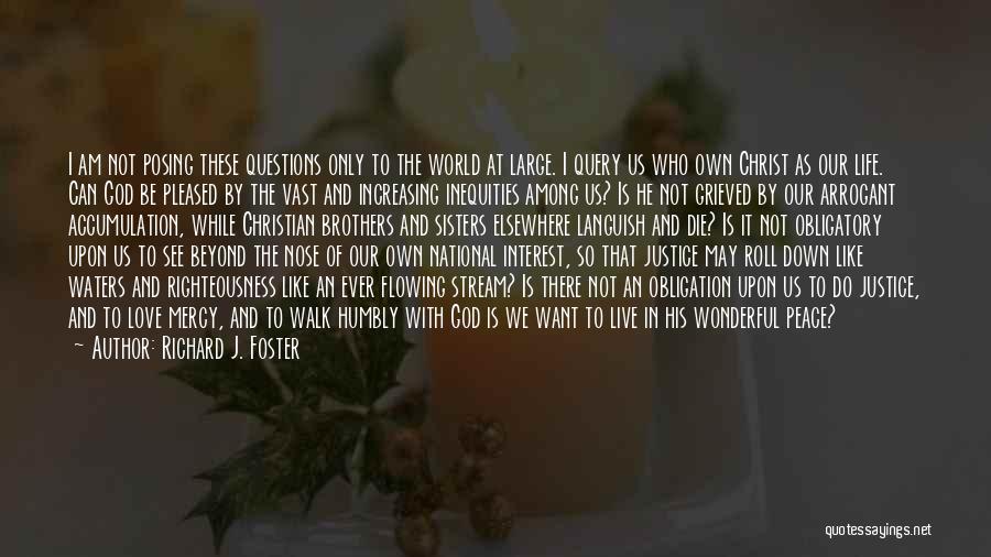 Richard J. Foster Quotes: I Am Not Posing These Questions Only To The World At Large. I Query Us Who Own Christ As Our