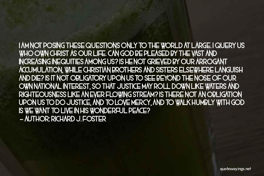 Richard J. Foster Quotes: I Am Not Posing These Questions Only To The World At Large. I Query Us Who Own Christ As Our