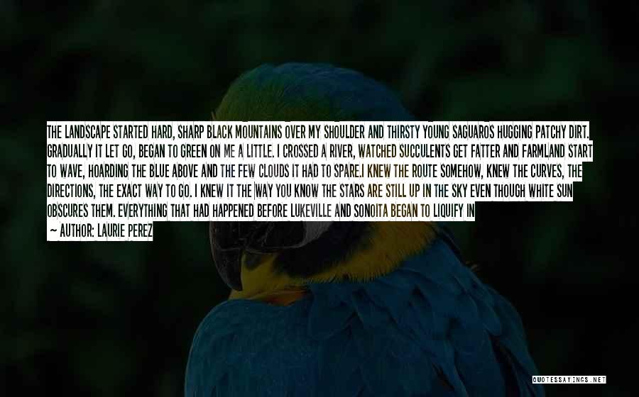 Laurie Perez Quotes: The Landscape Started Hard, Sharp Black Mountains Over My Shoulder And Thirsty Young Saguaros Hugging Patchy Dirt. Gradually It Let