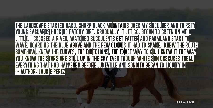 Laurie Perez Quotes: The Landscape Started Hard, Sharp Black Mountains Over My Shoulder And Thirsty Young Saguaros Hugging Patchy Dirt. Gradually It Let