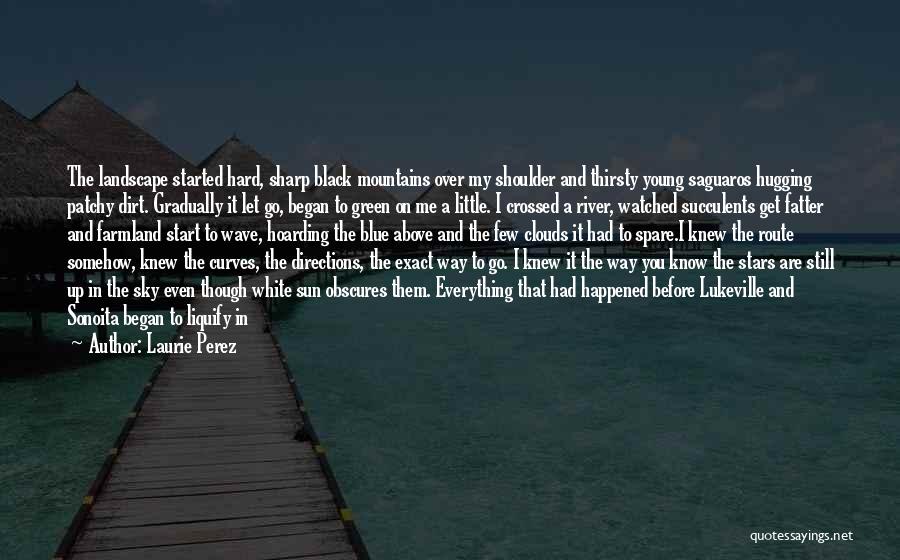Laurie Perez Quotes: The Landscape Started Hard, Sharp Black Mountains Over My Shoulder And Thirsty Young Saguaros Hugging Patchy Dirt. Gradually It Let