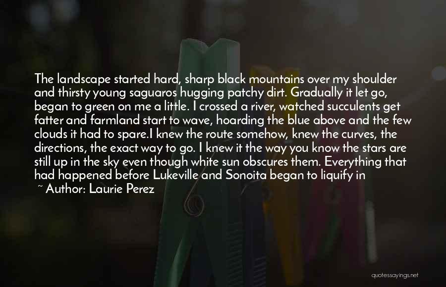Laurie Perez Quotes: The Landscape Started Hard, Sharp Black Mountains Over My Shoulder And Thirsty Young Saguaros Hugging Patchy Dirt. Gradually It Let