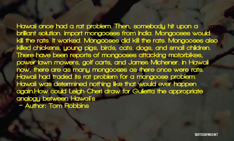 Tom Robbins Quotes: Hawaii Once Had A Rat Problem. Then, Somebody Hit Upon A Brilliant Solution. Import Mongooses From India. Mongooses Would Kill