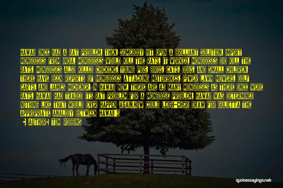 Tom Robbins Quotes: Hawaii Once Had A Rat Problem. Then, Somebody Hit Upon A Brilliant Solution. Import Mongooses From India. Mongooses Would Kill