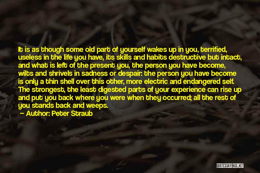 Peter Straub Quotes: It Is As Though Some Old Part Of Yourself Wakes Up In You, Terrified, Useless In The Life You Have,