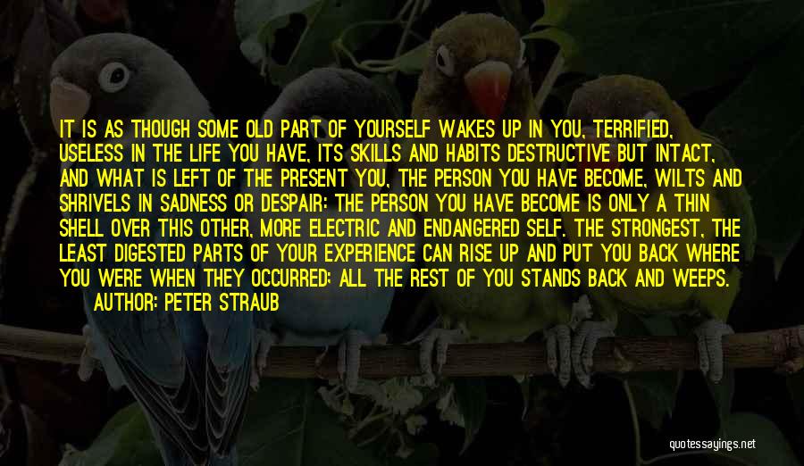 Peter Straub Quotes: It Is As Though Some Old Part Of Yourself Wakes Up In You, Terrified, Useless In The Life You Have,