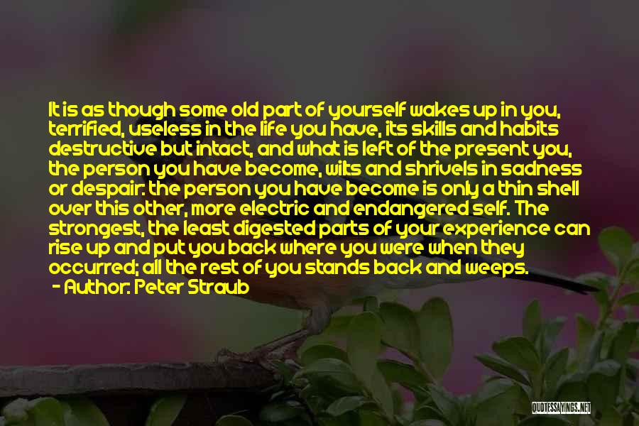 Peter Straub Quotes: It Is As Though Some Old Part Of Yourself Wakes Up In You, Terrified, Useless In The Life You Have,