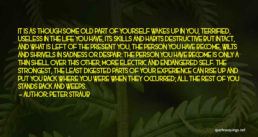 Peter Straub Quotes: It Is As Though Some Old Part Of Yourself Wakes Up In You, Terrified, Useless In The Life You Have,