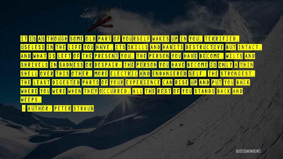 Peter Straub Quotes: It Is As Though Some Old Part Of Yourself Wakes Up In You, Terrified, Useless In The Life You Have,