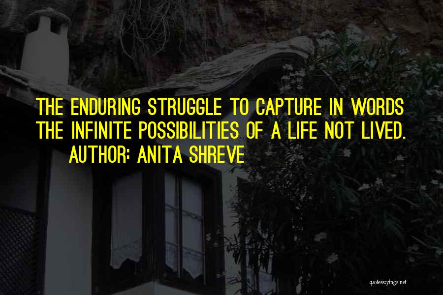 Anita Shreve Quotes: The Enduring Struggle To Capture In Words The Infinite Possibilities Of A Life Not Lived.