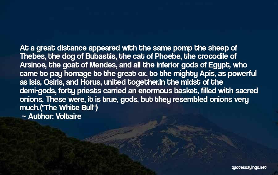 Voltaire Quotes: At A Great Distance Appeared With The Same Pomp The Sheep Of Thebes, The Dog Of Bubastis, The Cat Of