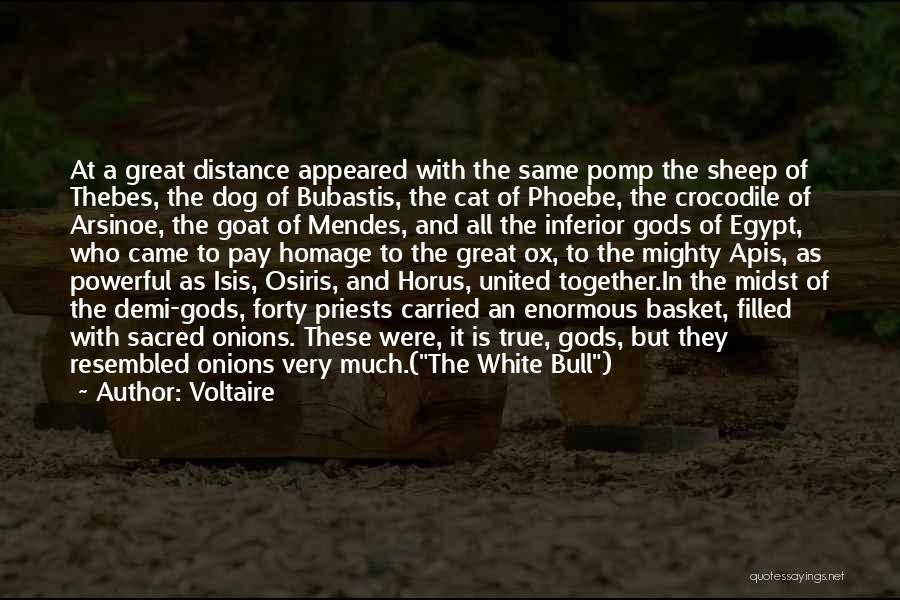 Voltaire Quotes: At A Great Distance Appeared With The Same Pomp The Sheep Of Thebes, The Dog Of Bubastis, The Cat Of