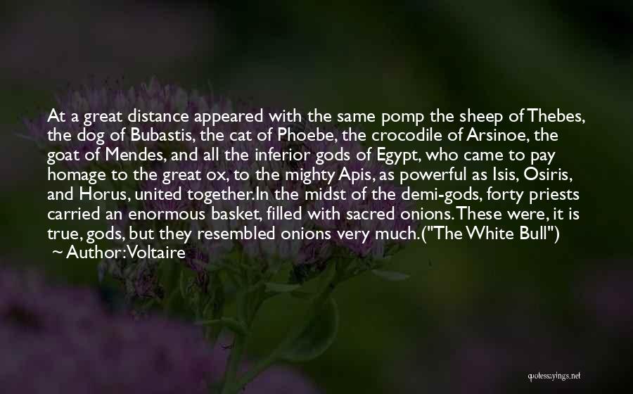 Voltaire Quotes: At A Great Distance Appeared With The Same Pomp The Sheep Of Thebes, The Dog Of Bubastis, The Cat Of