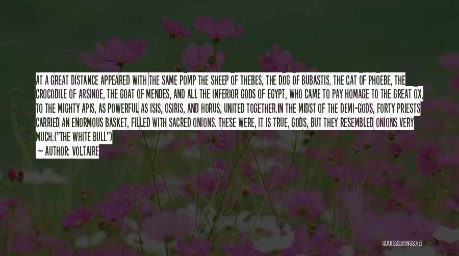 Voltaire Quotes: At A Great Distance Appeared With The Same Pomp The Sheep Of Thebes, The Dog Of Bubastis, The Cat Of