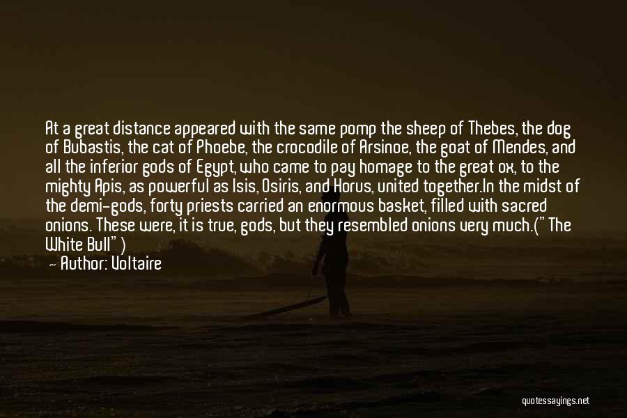 Voltaire Quotes: At A Great Distance Appeared With The Same Pomp The Sheep Of Thebes, The Dog Of Bubastis, The Cat Of