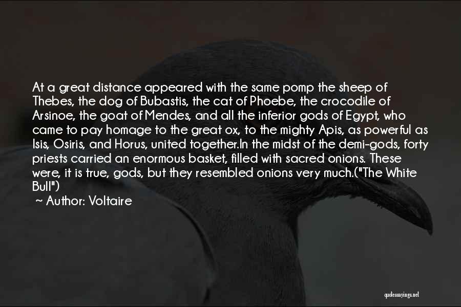 Voltaire Quotes: At A Great Distance Appeared With The Same Pomp The Sheep Of Thebes, The Dog Of Bubastis, The Cat Of