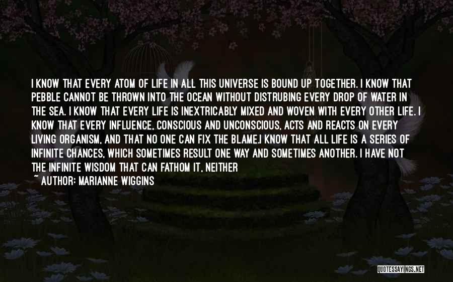 Marianne Wiggins Quotes: I Know That Every Atom Of Life In All This Universe Is Bound Up Together. I Know That Pebble Cannot