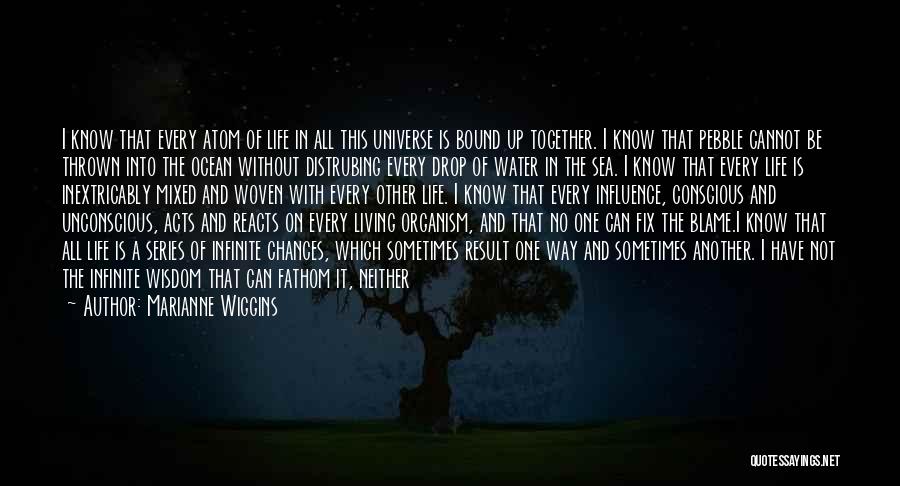 Marianne Wiggins Quotes: I Know That Every Atom Of Life In All This Universe Is Bound Up Together. I Know That Pebble Cannot