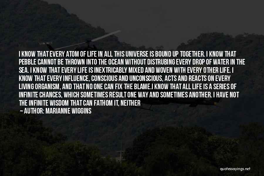 Marianne Wiggins Quotes: I Know That Every Atom Of Life In All This Universe Is Bound Up Together. I Know That Pebble Cannot