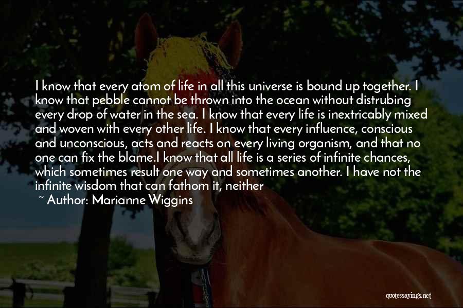 Marianne Wiggins Quotes: I Know That Every Atom Of Life In All This Universe Is Bound Up Together. I Know That Pebble Cannot