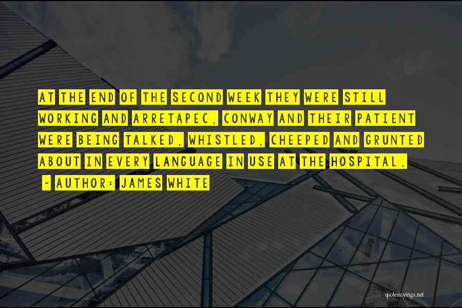 James White Quotes: At The End Of The Second Week They Were Still Working And Arretapec, Conway And Their Patient Were Being Talked,