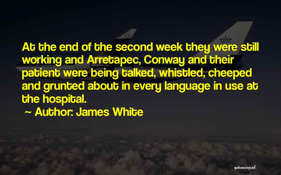 James White Quotes: At The End Of The Second Week They Were Still Working And Arretapec, Conway And Their Patient Were Being Talked,