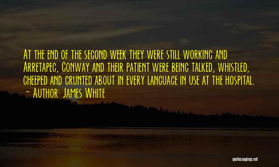 James White Quotes: At The End Of The Second Week They Were Still Working And Arretapec, Conway And Their Patient Were Being Talked,