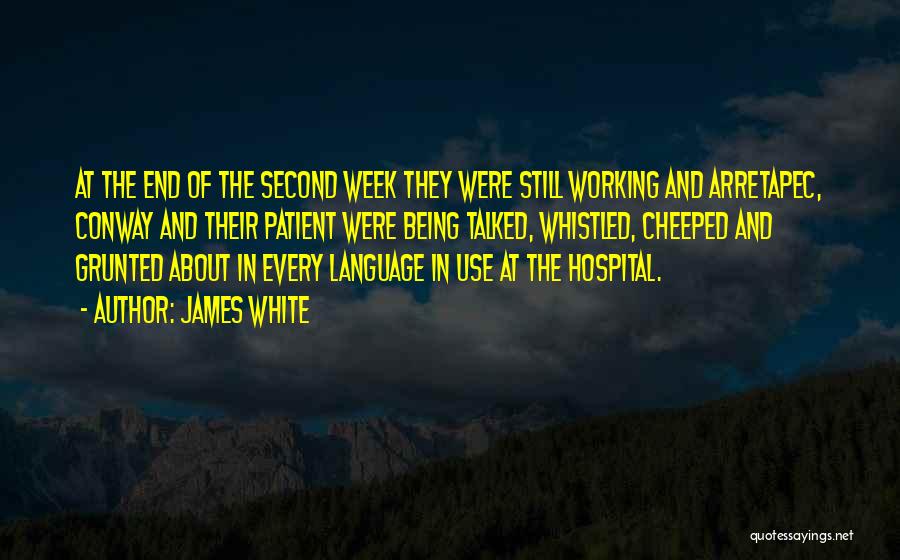 James White Quotes: At The End Of The Second Week They Were Still Working And Arretapec, Conway And Their Patient Were Being Talked,