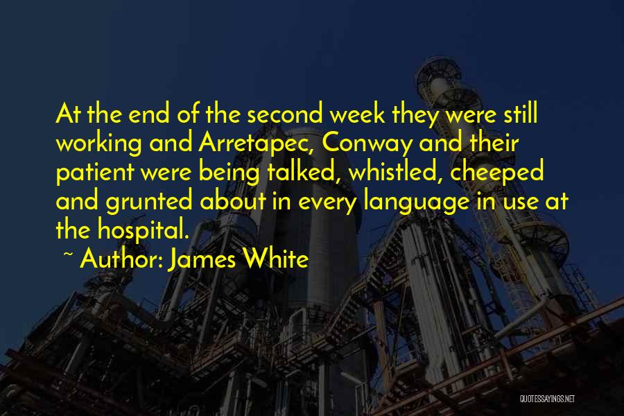 James White Quotes: At The End Of The Second Week They Were Still Working And Arretapec, Conway And Their Patient Were Being Talked,