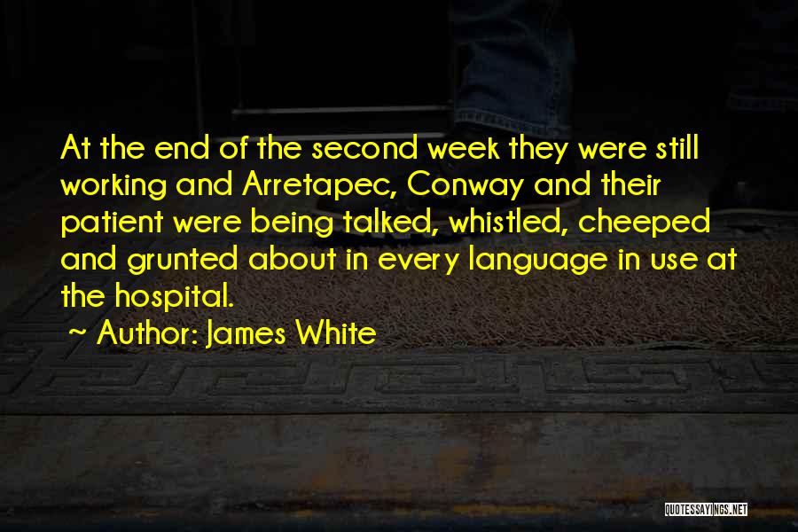 James White Quotes: At The End Of The Second Week They Were Still Working And Arretapec, Conway And Their Patient Were Being Talked,