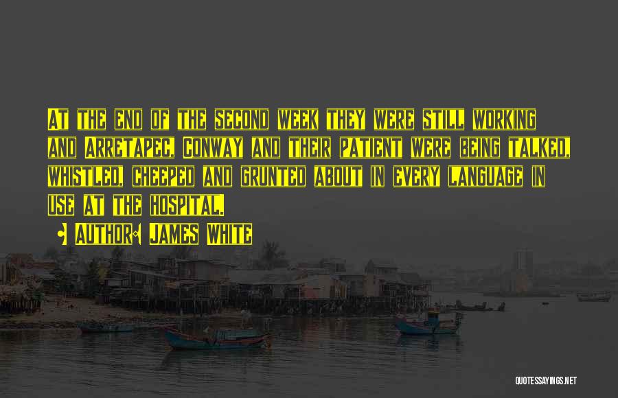 James White Quotes: At The End Of The Second Week They Were Still Working And Arretapec, Conway And Their Patient Were Being Talked,
