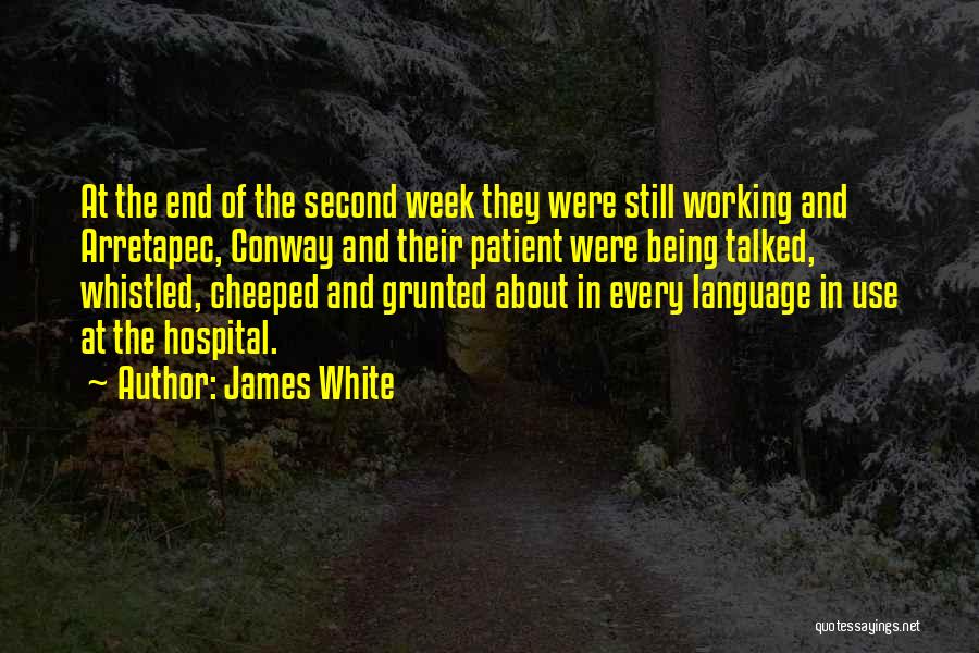 James White Quotes: At The End Of The Second Week They Were Still Working And Arretapec, Conway And Their Patient Were Being Talked,