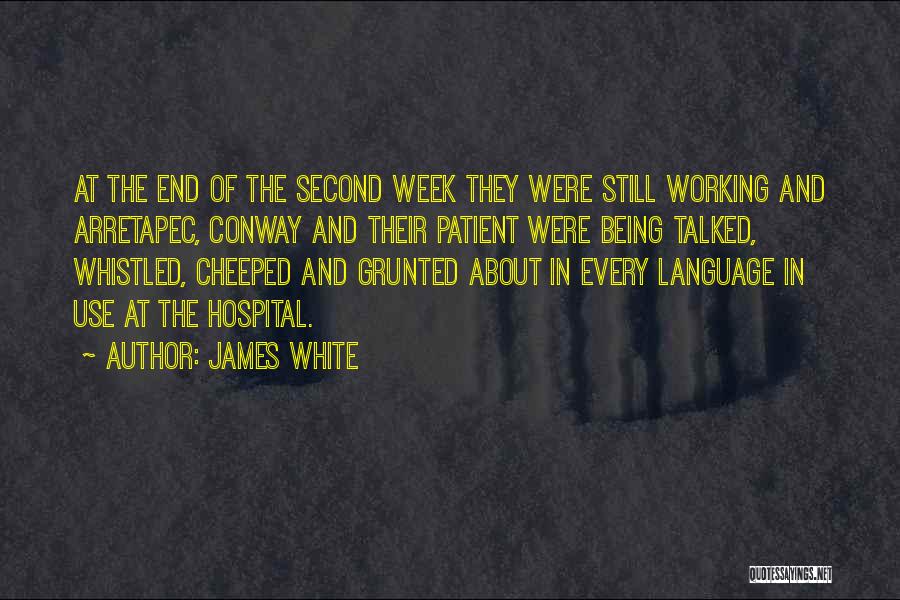 James White Quotes: At The End Of The Second Week They Were Still Working And Arretapec, Conway And Their Patient Were Being Talked,
