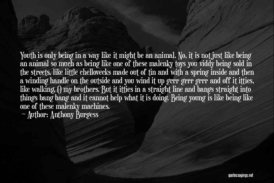 Anthony Burgess Quotes: Youth Is Only Being In A Way Like It Might Be An Animal. No, It Is Not Just Like Being