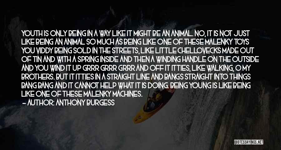 Anthony Burgess Quotes: Youth Is Only Being In A Way Like It Might Be An Animal. No, It Is Not Just Like Being