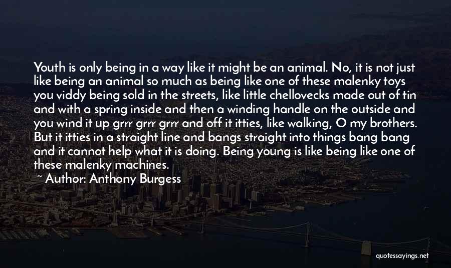 Anthony Burgess Quotes: Youth Is Only Being In A Way Like It Might Be An Animal. No, It Is Not Just Like Being