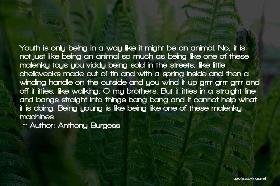 Anthony Burgess Quotes: Youth Is Only Being In A Way Like It Might Be An Animal. No, It Is Not Just Like Being