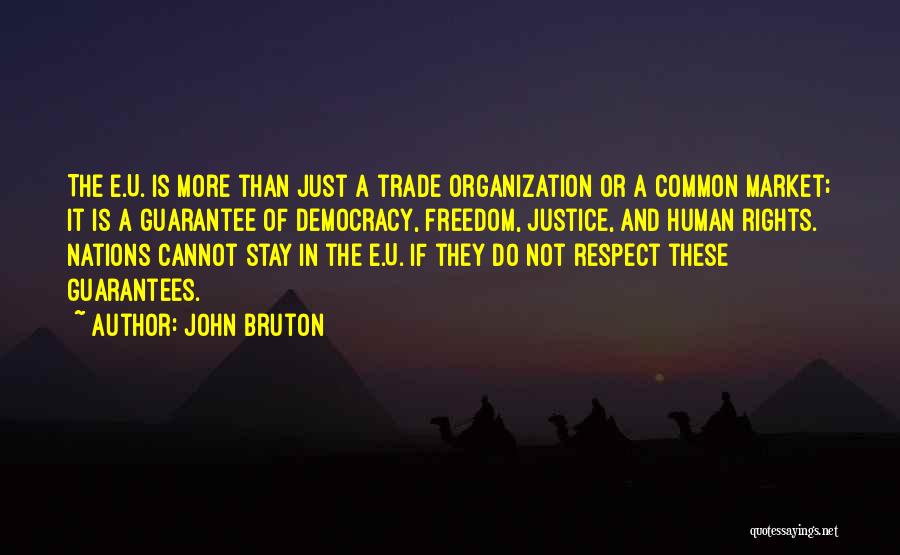 John Bruton Quotes: The E.u. Is More Than Just A Trade Organization Or A Common Market; It Is A Guarantee Of Democracy, Freedom,