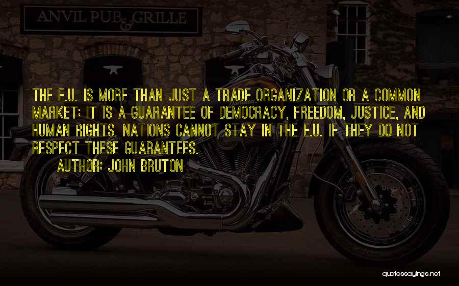 John Bruton Quotes: The E.u. Is More Than Just A Trade Organization Or A Common Market; It Is A Guarantee Of Democracy, Freedom,