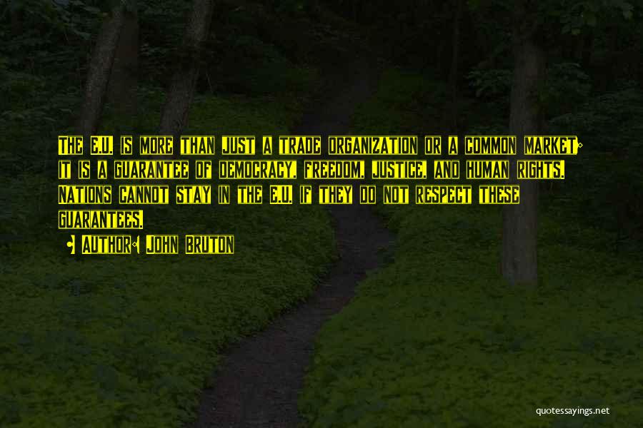 John Bruton Quotes: The E.u. Is More Than Just A Trade Organization Or A Common Market; It Is A Guarantee Of Democracy, Freedom,