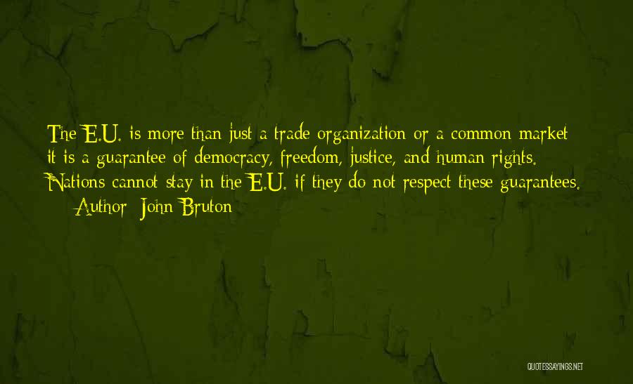 John Bruton Quotes: The E.u. Is More Than Just A Trade Organization Or A Common Market; It Is A Guarantee Of Democracy, Freedom,