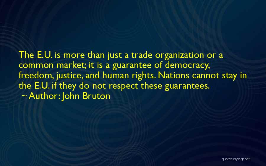 John Bruton Quotes: The E.u. Is More Than Just A Trade Organization Or A Common Market; It Is A Guarantee Of Democracy, Freedom,