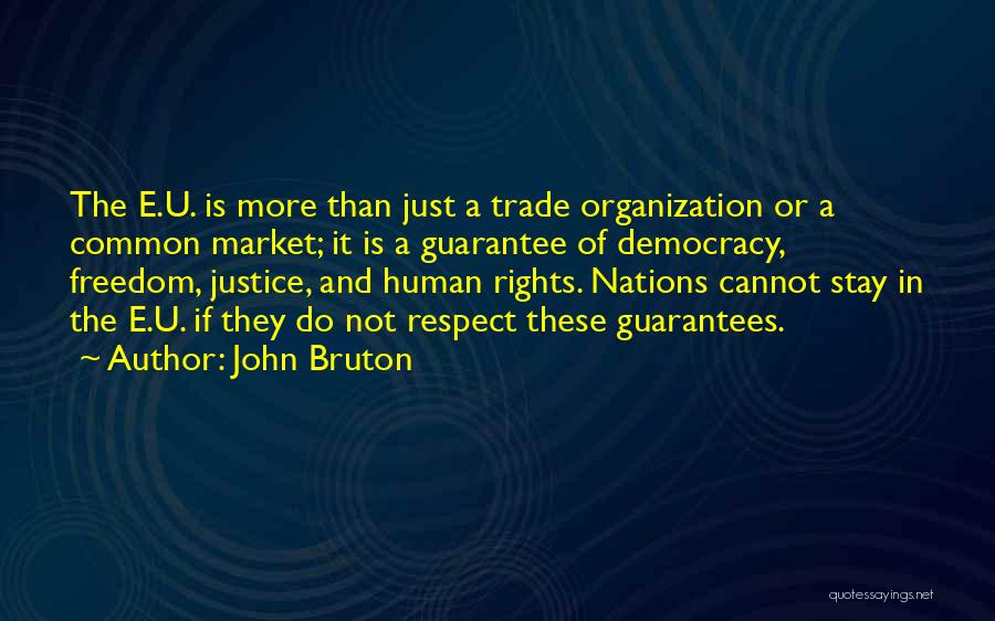 John Bruton Quotes: The E.u. Is More Than Just A Trade Organization Or A Common Market; It Is A Guarantee Of Democracy, Freedom,