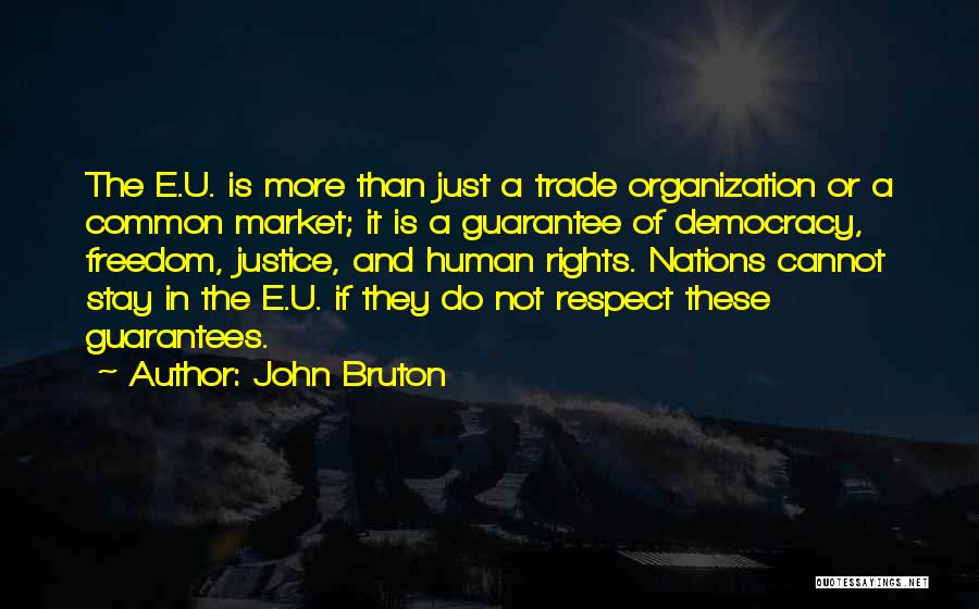 John Bruton Quotes: The E.u. Is More Than Just A Trade Organization Or A Common Market; It Is A Guarantee Of Democracy, Freedom,