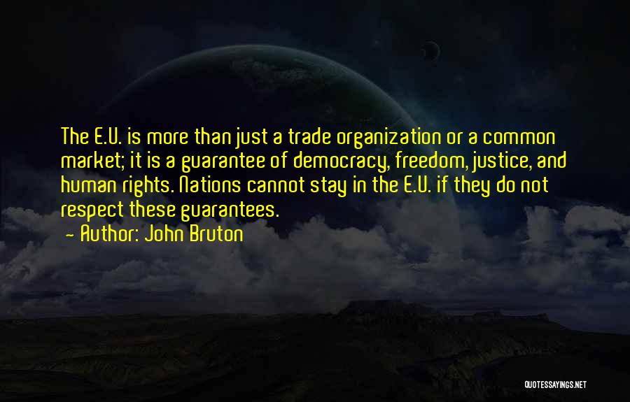 John Bruton Quotes: The E.u. Is More Than Just A Trade Organization Or A Common Market; It Is A Guarantee Of Democracy, Freedom,